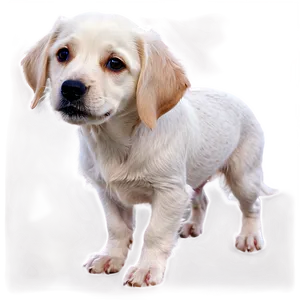 Short Haired Dogs PNG Ocu23 PNG