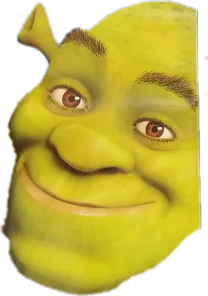 Shrek Character Close Up PNG Image