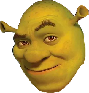 Shrek Character Close Up Face.png PNG Image