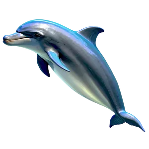 Shy Cartoon Dolphin Png Pfq48 PNG Image