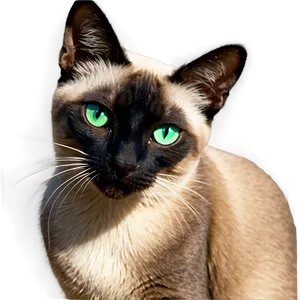 Siamese Cat Green Eyes Png 90 PNG Image