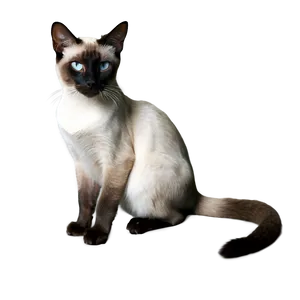 Siamese Cat Green Eyes Png Kft73 PNG Image