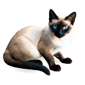 Siamese Cat Green Eyes Png Rpa PNG Image