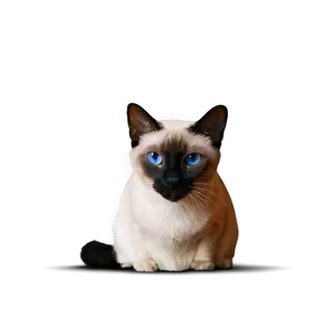 Siamese Cat Hiding Png 35 PNG Image