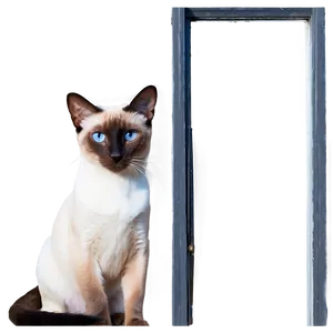 Siamese Cat Looking Out Window Png 06292024 PNG Image