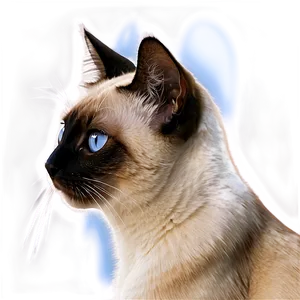 Siamese Cat Side View Png 06292024 PNG Image