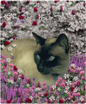 Siamese Catin Floral Garden.jpg PNG Image