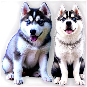 Siberian Husky Puppy Png 06252024 PNG Image