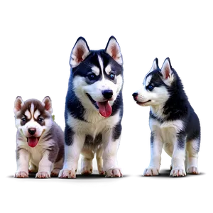 Siberian Husky With Puppies Png 06252024 PNG Image