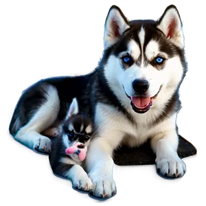 Siberian Husky With Puppies Png 3 PNG Image