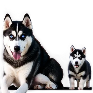 Siberian Husky With Puppies Png Eta PNG Image