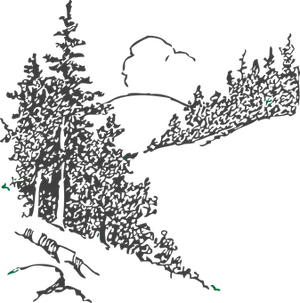 Silhouette Optical Illusion Forest PNG Image