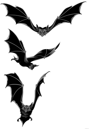 Silhouetted Batsin Flight PNG Image