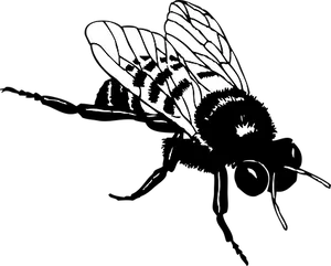 Silhouetted Bee Graphic PNG Image