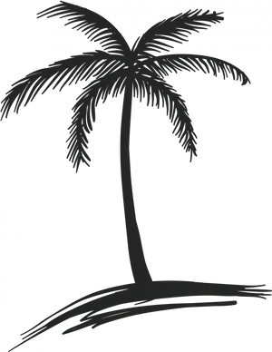 Silhouetted Coconut Tree Graphic PNG Image