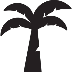 Silhouetted Coconut Tree Graphic PNG Image