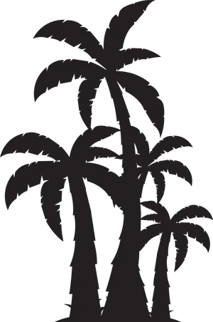 Silhouetted Palm Trees Graphic PNG Image