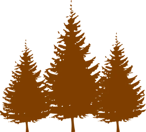 Silhouetted Pine Trees Graphic PNG Image