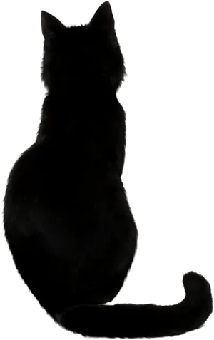 Silhouetteof Black Cat PNG Image