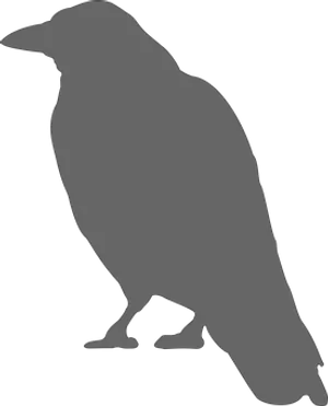 Silhouetteof Crow Standing PNG Image