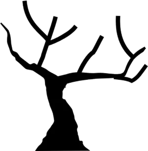 Silhouetteof Leafless Tree PNG Image