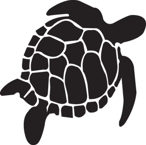 Silhouetteof Sea Turtle PNG