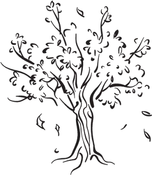 Silhouetteof Treeand Leaves PNG Image