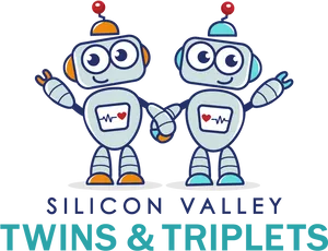 Silicon Valley_ Twins_ Robots_ Vector PNG Image