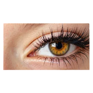 Silk Eyelash Extensions Png Eal PNG Image