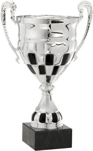 Silver Cricket Trophy PNG Image