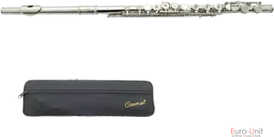 Silver_ Flute_with_ Case PNG Image