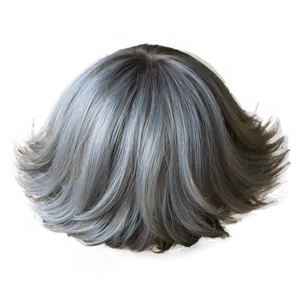 Silver Fox Hairstyle Png Qpv PNG Image