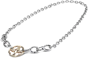 Silver Gold Accent Chain Necklace PNG Image