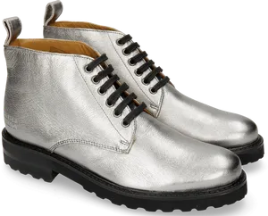 Silver Leather Ankle Boots PNG