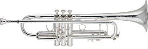 Silver Trumpet Isolatedon White PNG Image