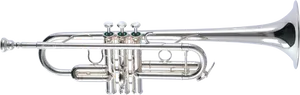 Silver Trumpet Isolatedon White PNG Image