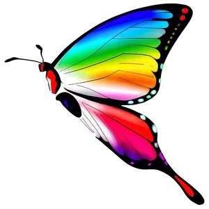 Simple Butterfly Graphic Png Kku PNG Image