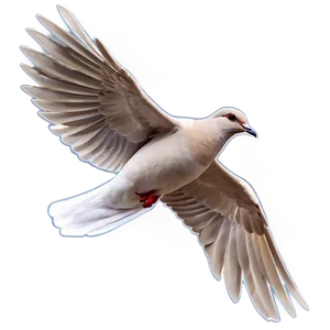 Simple Dove Clipart Png Dsg PNG Image