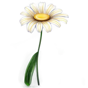 Simple Flower Sketch Png Igb PNG Image