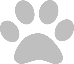 Simple Gray Paw Print PNG Image