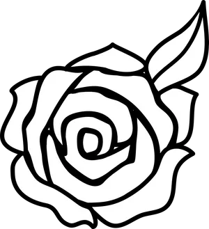 Simple Line Art Rose Drawing PNG Image