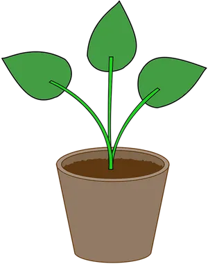 Simple Plantin Pot Illustration PNG Image