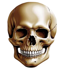 Simple Skull Drawing Png Jyo95 PNG Image