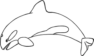 Simple Whale Line Art PNG Image