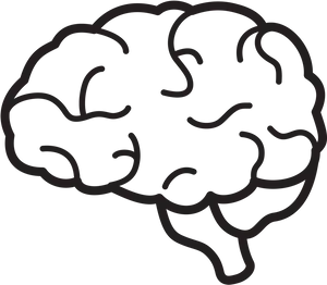 Simplified Brain Illustration PNG Image