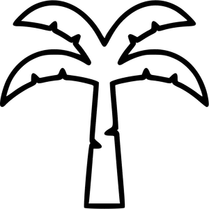 Simplified Coconut Tree Outline PNG Image