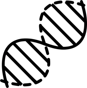 Simplified D N A Structure Illustration PNG Image