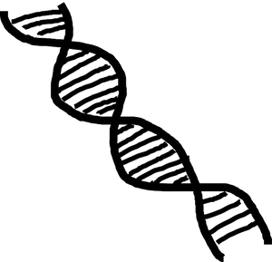 Simplified D N A Structure Illustration PNG Image