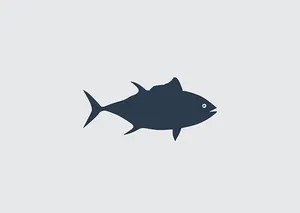 Simplified Fish Silhouette Graphic PNG Image