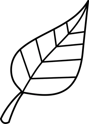 Simplified Leaf Graphic Blackand White PNG Image